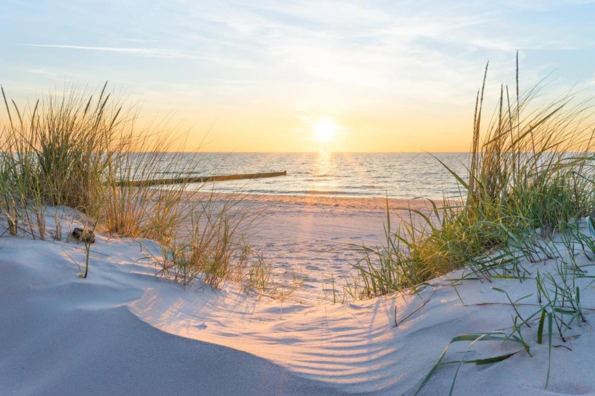 Sonnenaufgang, direkt am Alten Strom Rostock Bagian luar foto
